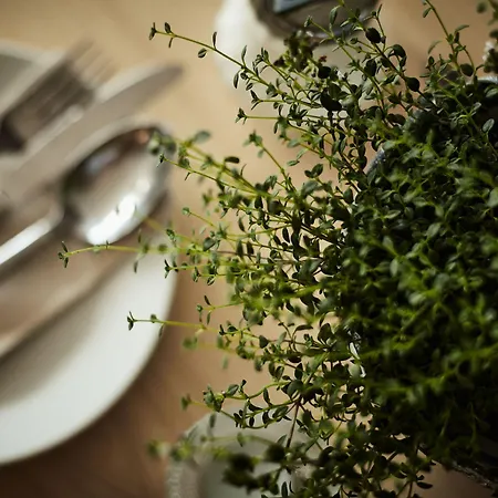 Wellnessnaturresort Gut Edermann Hotel